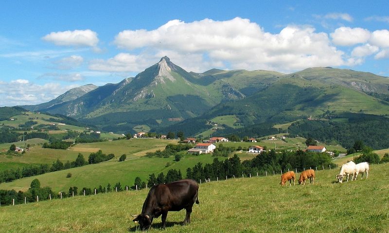 Txindoki mountain from Lazkaomendi