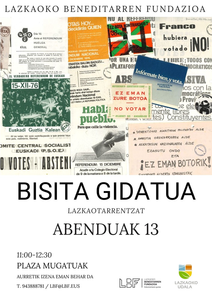Bisita gidatua