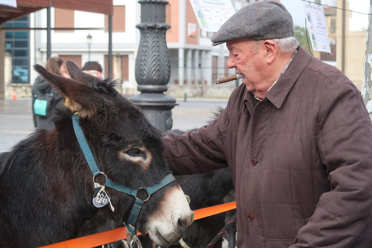 Astotxo Eguna 2026 eskertza 4