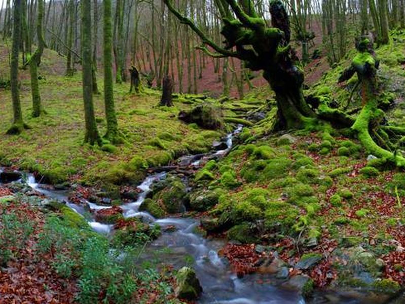 Mendi irteera Artikutzara Amalur Mendi Elkarteak antolatuta igande honetan, apirilak 19