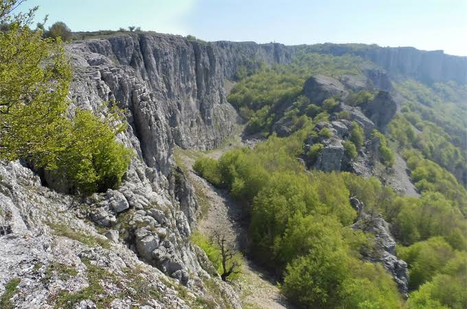 Arnaba